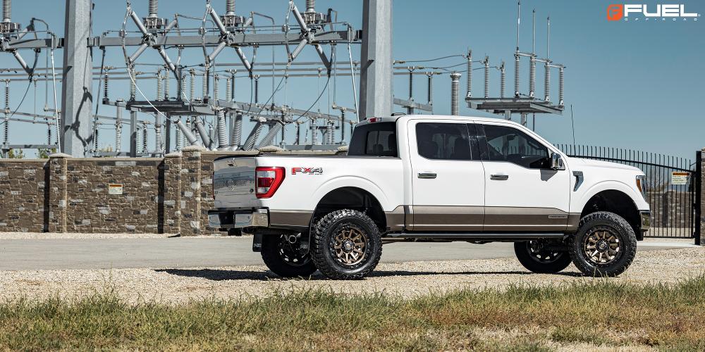 Ford F-150 Fuel Covert - D696